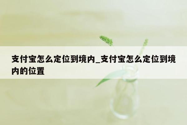 支付宝怎么定位到境内_支付宝怎么定位到境内的位置