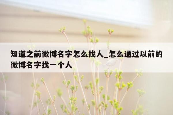 知道之前微博名字怎么找人_怎么通过以前的微博名字找一个人
