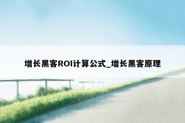 增长黑客ROI计算公式_增长黑客原理