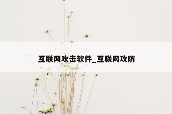 互联网攻击软件_互联网攻防