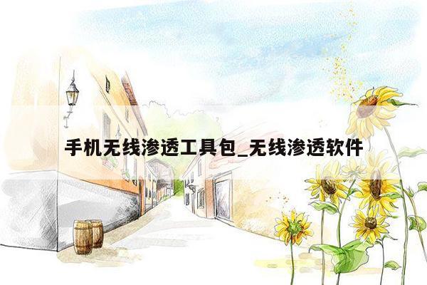 手机无线渗透工具包_无线渗透软件