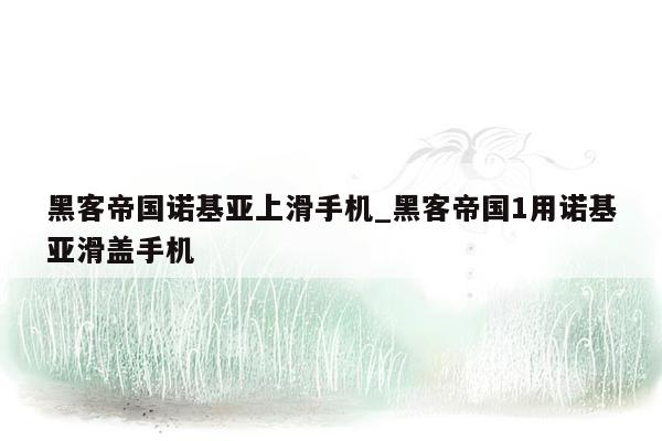 黑客帝国诺基亚上滑手机_黑客帝国1用诺基亚滑盖手机