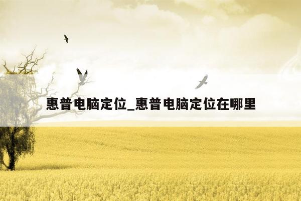 惠普电脑定位_惠普电脑定位在哪里