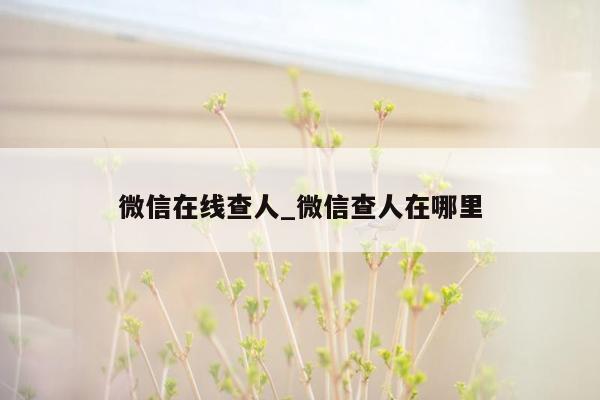 微信在线查人_微信查人在哪里