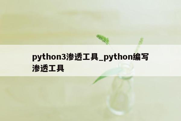 python3渗透工具_python编写渗透工具