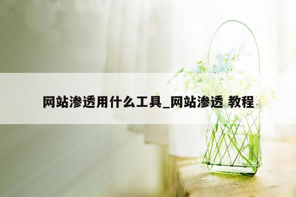 网站渗透用什么工具_网站渗透 教程