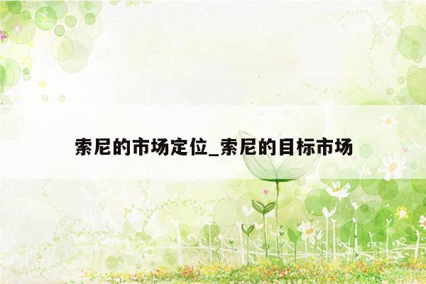 索尼的市场定位_索尼的目标市场