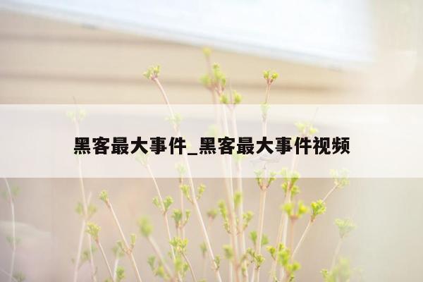 黑客最大事件_黑客最大事件视频