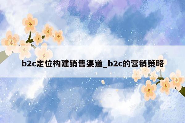 b2c定位构建销售渠道_b2c的营销策略