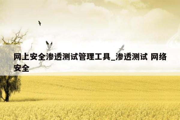 网上安全渗透测试管理工具_渗透测试 网络安全