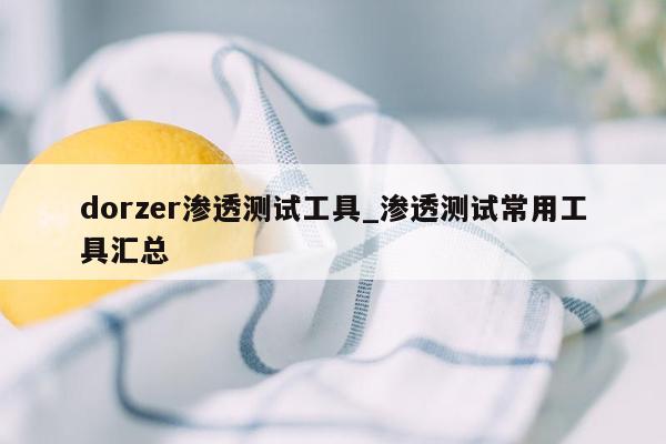 dorzer渗透测试工具_渗透测试常用工具汇总