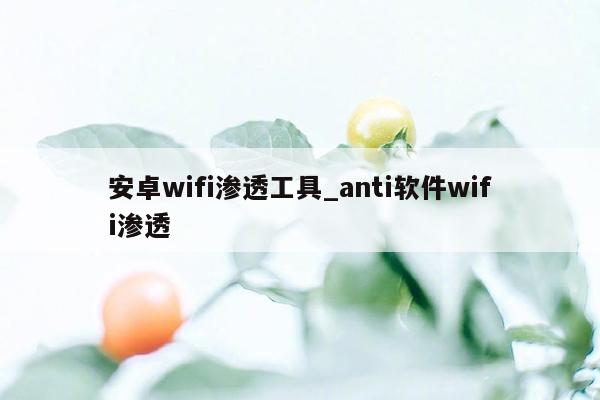 安卓wifi渗透工具_anti软件wifi渗透
