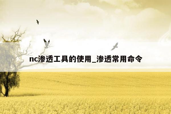 nc渗透工具的使用_渗透常用命令