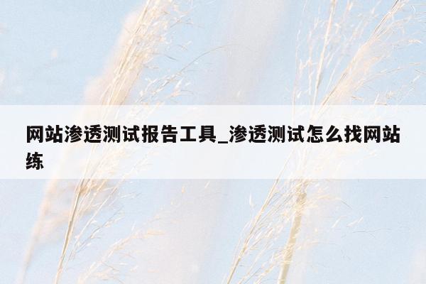 网站渗透测试报告工具_渗透测试怎么找网站练