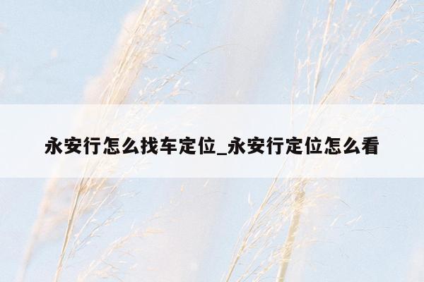 永安行怎么找车定位_永安行定位怎么看