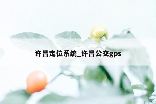 许昌定位系统_许昌公交gps