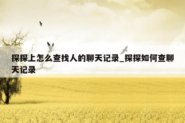 探探上怎么查找人的聊天记录_探探如何查聊天记录