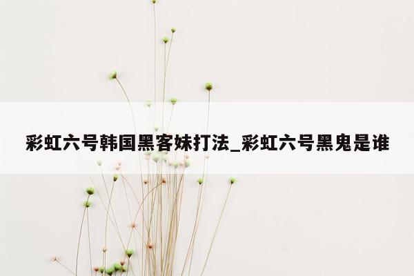 彩虹六号韩国黑客妹打法_彩虹六号黑鬼是谁