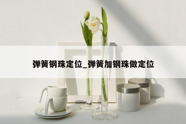 弹簧钢珠定位_弹簧加钢珠做定位