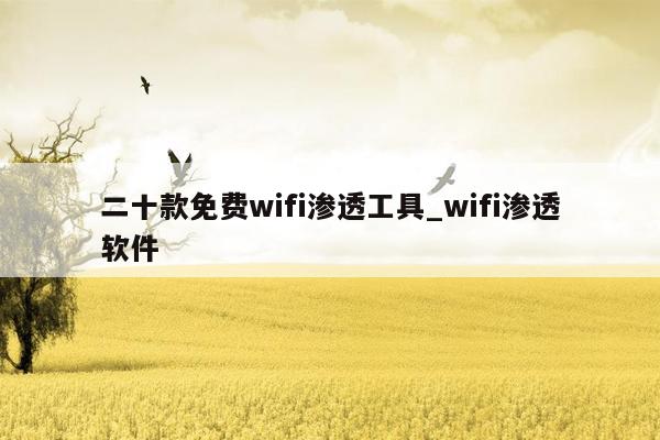 二十款免费wifi渗透工具_wifi渗透软件