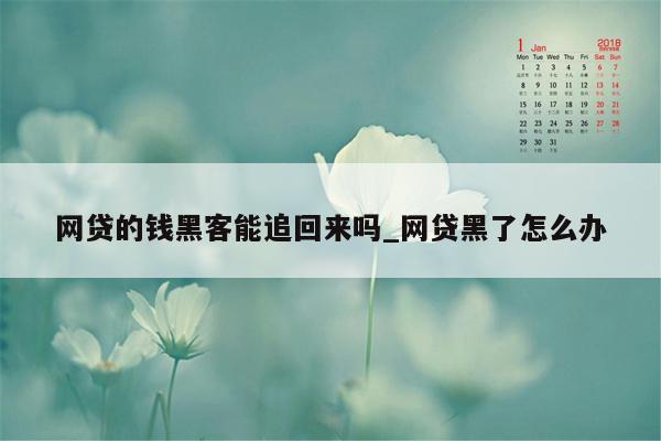 网贷的钱黑客能追回来吗_网贷黑了怎么办