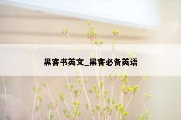 黑客书英文_黑客必备英语