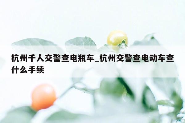 杭州千人交警查电瓶车_杭州交警查电动车查什么手续
