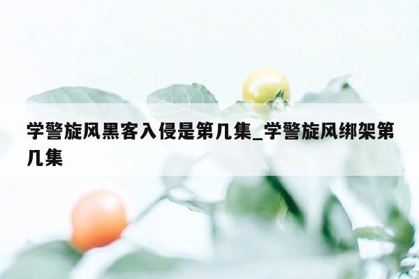 学警旋风黑客入侵是第几集_学警旋风绑架第几集