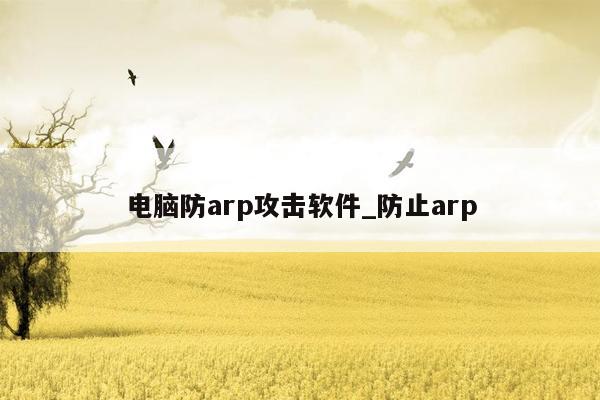 电脑防arp攻击软件_防止arp