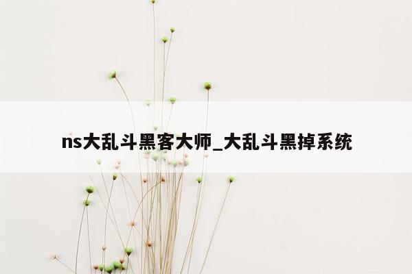 ns大乱斗黑客大师_大乱斗黑掉系统