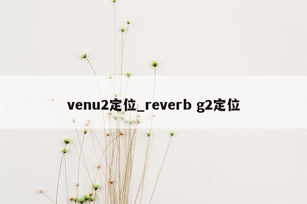 venu2定位_reverb g2定位