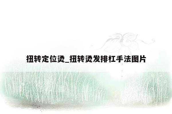 扭转定位烫_扭转烫发排杠手法图片