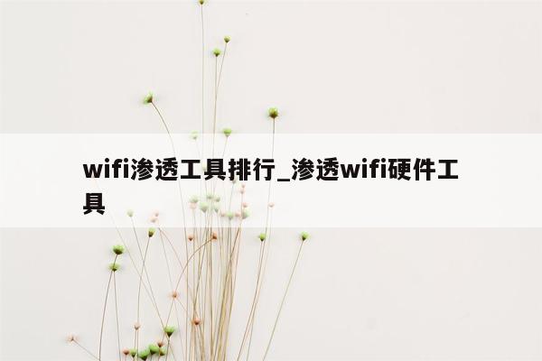 wifi渗透工具排行_渗透wifi硬件工具