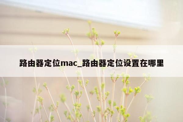 路由器定位mac_路由器定位设置在哪里
