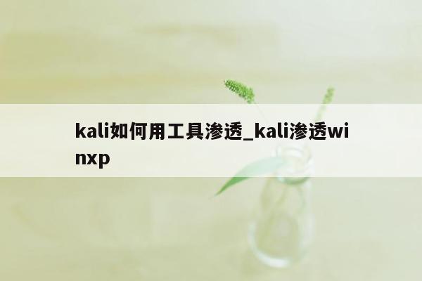 kali如何用工具渗透_kali渗透winxp