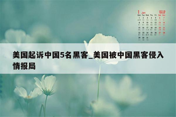 美国起诉中国5名黑客_美国被中国黑客侵入情报局