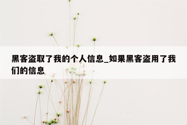 黑客盗取了我的个人信息_如果黑客盗用了我们的信息