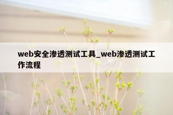 web安全渗透测试工具_web渗透测试工作流程