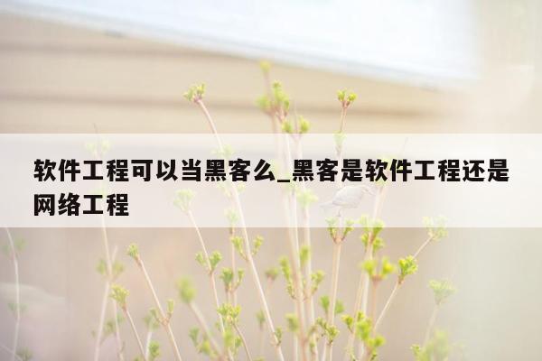 软件工程可以当黑客么_黑客是软件工程还是网络工程