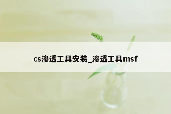 cs渗透工具安装_渗透工具msf