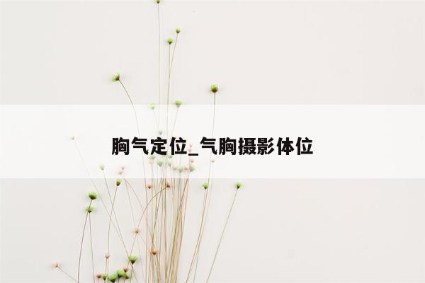 胸气定位_气胸摄影体位