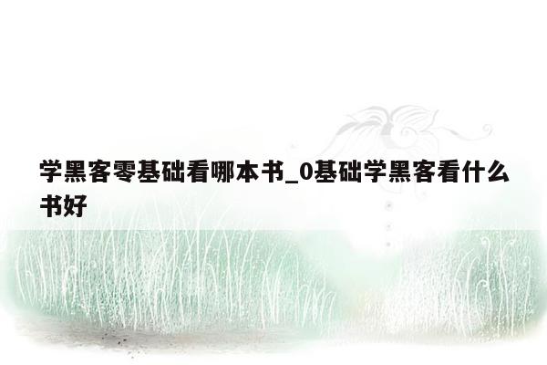 学黑客零基础看哪本书_0基础学黑客看什么书好