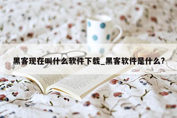 黑客现在叫什么软件下载_黑客软件是什么?