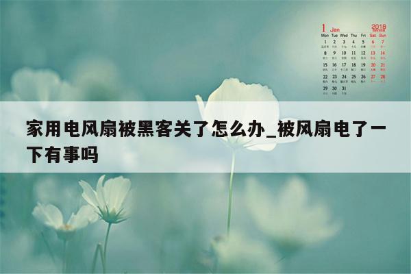 家用电风扇被黑客关了怎么办_被风扇电了一下有事吗