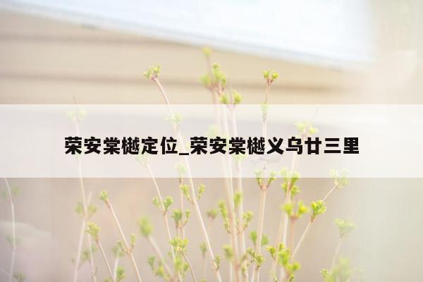 荣安棠樾定位_荣安棠樾义乌廿三里