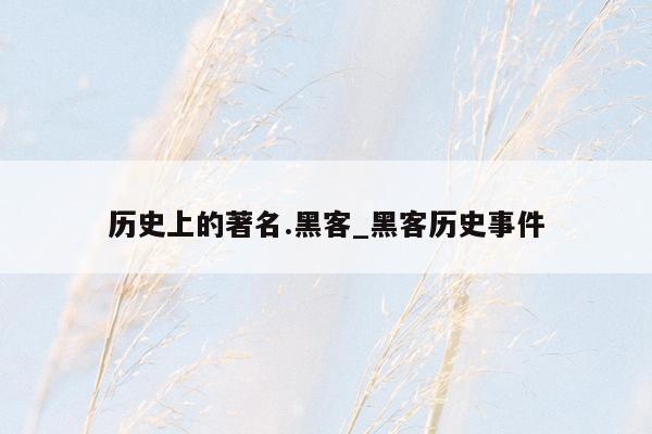 历史上的著名.黑客_黑客历史事件