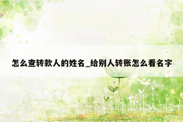 怎么查转款人的姓名_给别人转账怎么看名字