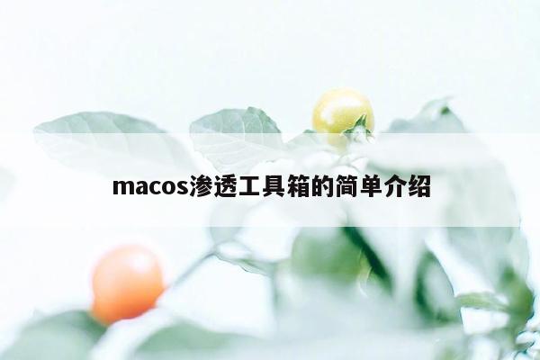 macos渗透工具箱的简单介绍