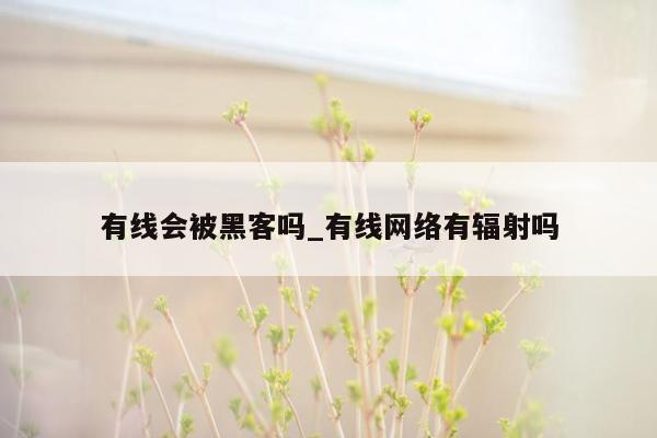 有线会被黑客吗_有线网络有辐射吗