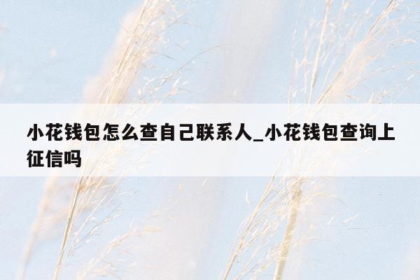 小花钱包怎么查自己联系人_小花钱包查询上征信吗